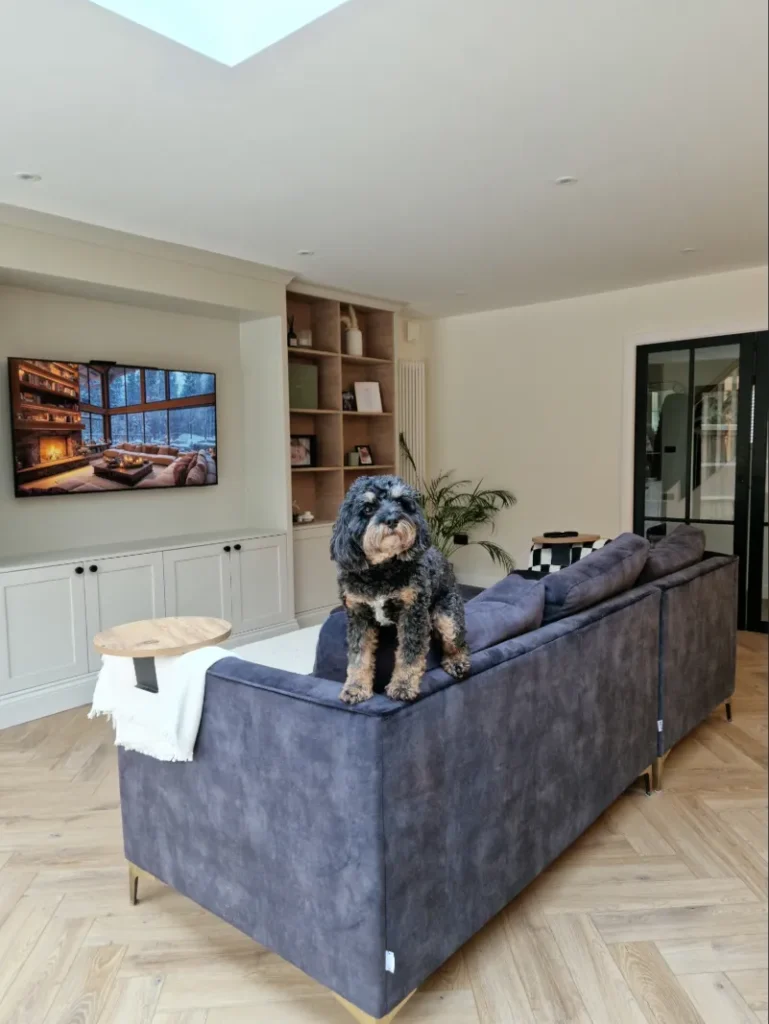 media wall with dog 